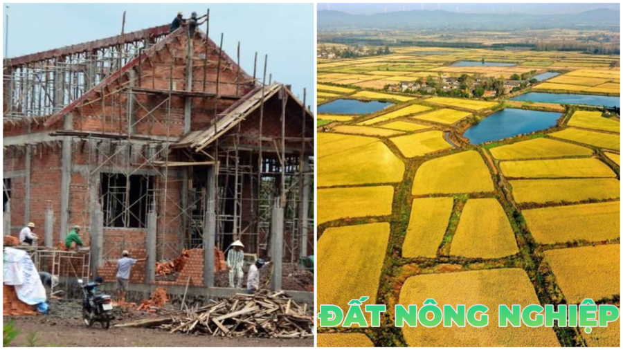 Ai xây nhà trên đất nông nghiệp không bị phạt