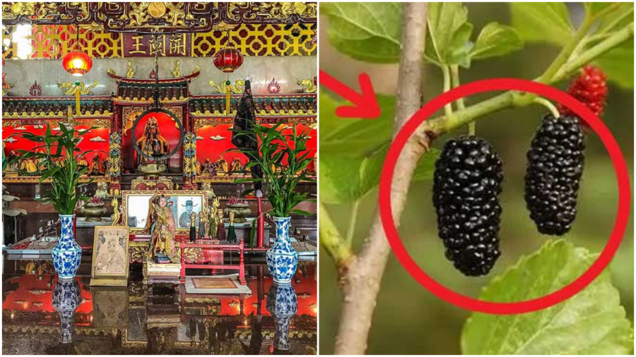 Những đồ vật không nên treo trong nhà tán lộc