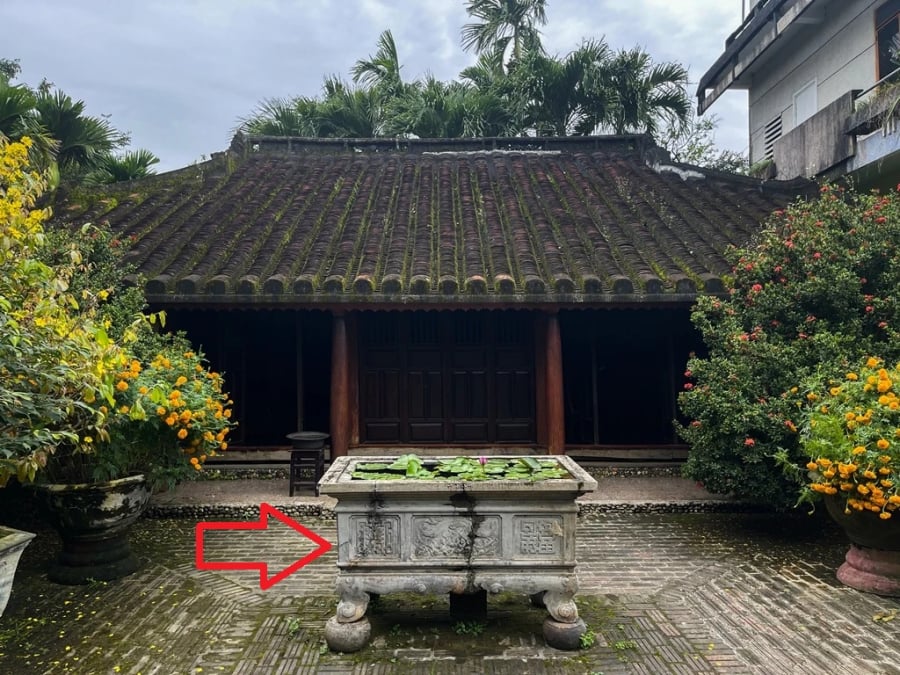 Theo kinh nghiệm của người xưa, không trồng những loại cây có gai như vậy trong sân để tránh những rắc rối không đáng có.
