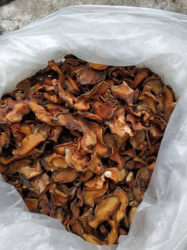 Quả tai chua khô