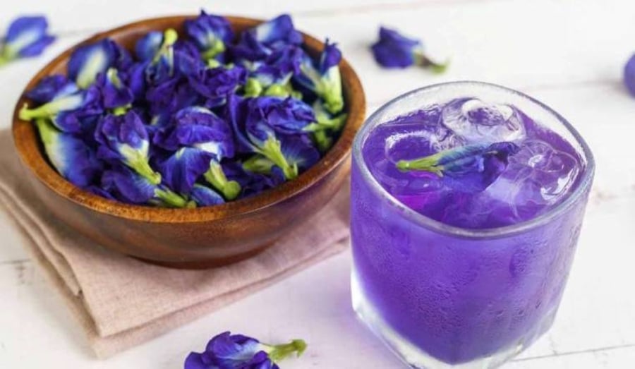 Trà hoa đậu biếc có hương rất nhẹ, nhẹ đến mức bị nhòa đi giữa cái màu xanh tuyệt đẹp của nó.