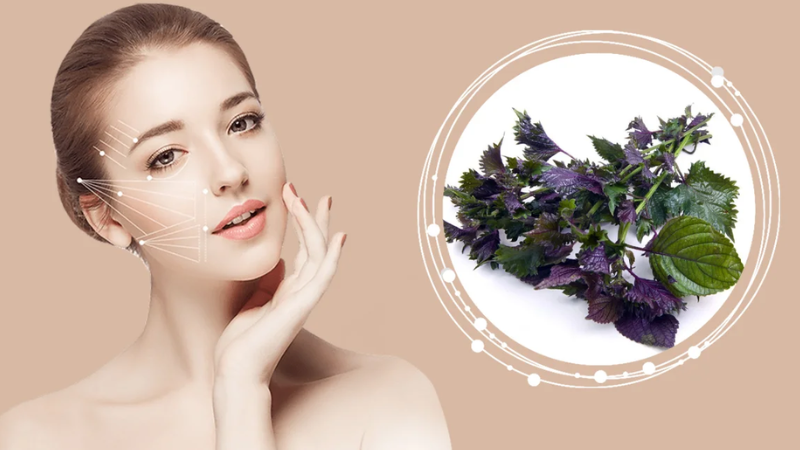 Kết hợp vừa thoa vừa massage nhẹ nhàng khoảng 20 phút rồi rửa sạch mặt với nước lạnh.