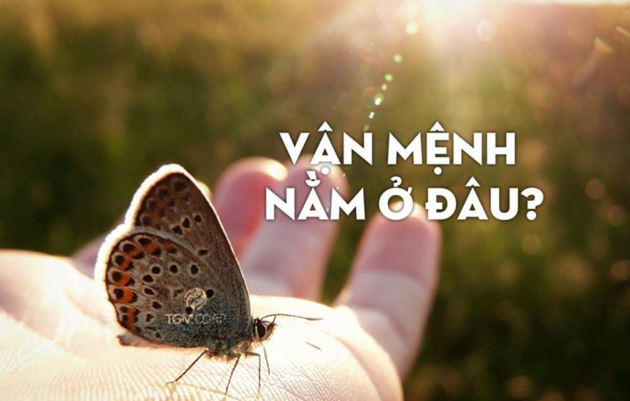 Vận mệnh không tốt, thì đây là 5 bí quyết để cải biến vận mệnh