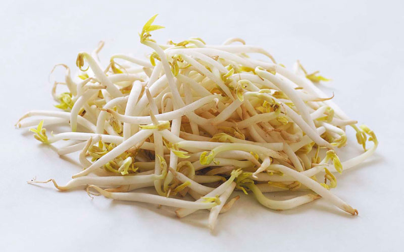100g giá đỗ đã chứa tới 38g canxi làm giảm tỉ lệ hao mòn xương