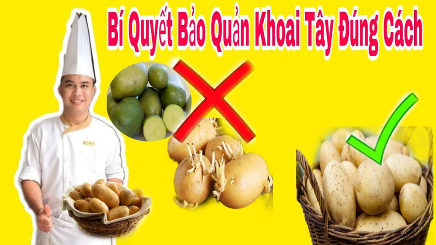 Một số mẹo bảo quản khoai tây đúng cách