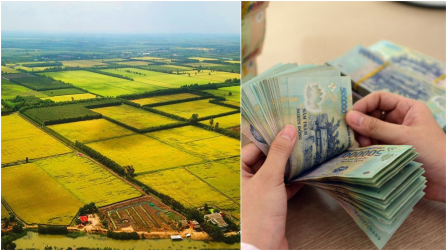 5 trường hợp bị thu hồi đất không được đền bù là ai?
