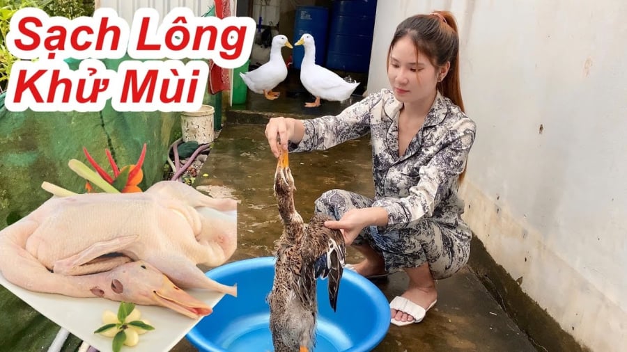 Với cách nhổ lông vịt đơn giản này, bạn sẽ dễ dàng làm sạch lông tơ của vịt, ngay cả nàng dâu vụng đến mấy cũng sẽ thành công.    