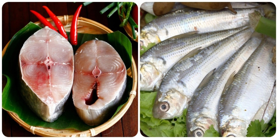 Loại cá biển tươi ngon giàu dinh dưỡng