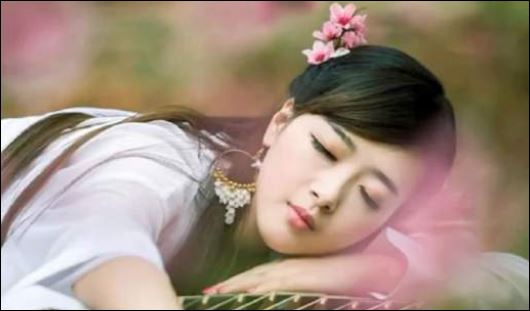 Nếu ý kiến của một người chỉ là một chiếc lá thì suy nghĩ của nhiều người lại có thể ghép nối lại thành một cái cây xanh tốt. (ảnh minh họa)