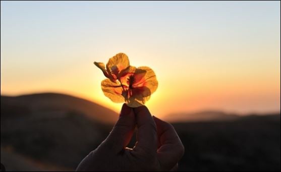 Thánh nhân đãi kẻ khù khờ. (ảnh minh họa)