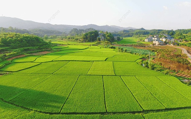 Chi phí chuyển đất nông nghiệp sang đất thổ cư