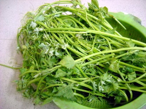 Tại một số địa phương, người ta thường dùng lá mướp để bọc quanh thịt, đem hấp cách thuỷ để tạo ra Shbet0099 cá cược trực tuyến ngon