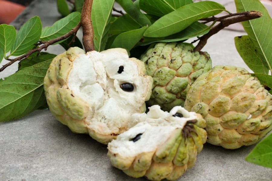 Na là loại hoa quả dễ nóng trong người