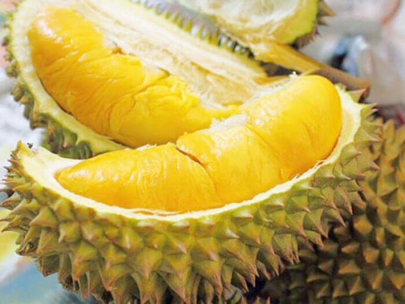 Sầu riêng là loại hoa quả mùa hè chứa nhiều chất béo và đường