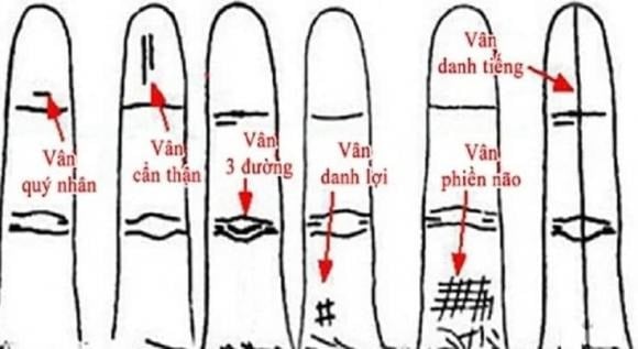 Khi có ba đường vân ở đốt thứ hai và thứ ba của ngón áp út, đó là dấu hiệu của khả năng đạt được thành công và phát tài trong sự nghiệp. 