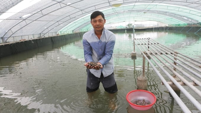 Anh Nguyễn Minh Trưởng dù có bằng Kiến trúc vẫn quyết định về quê phát triển nông nghiệp
