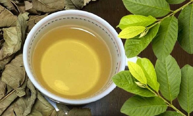 Sử dụng nước lá ổi để gội đầu có thể giúp giảm thiểu tình trạng rụng tóc, hỗ trợ cải thiện sức khỏe của Shbet123 Link Vào ShBet Mới Nhất