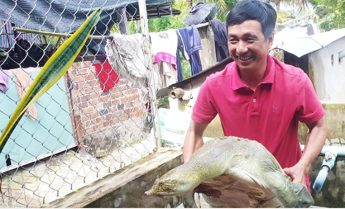 Cua đinh giống sau khi nuôi khoảng 2 năm, đạt trọng lượng khoảng 3kg/con là bán được giá 400.000 đồng/kg. Ảnh: Dân Việt.