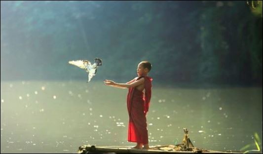 Những người biết khoan dung với người khác thì đi đâu cũng được người ta quý.  (ảnh minh họa)