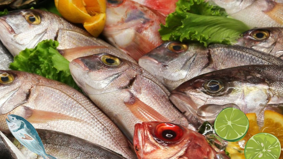 Cá biển tươi ngon phải có mắt trong, mang đỏ, thịt cá săn chắc