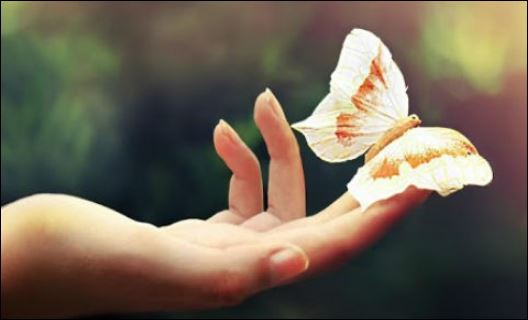 Vận cũng được gọi là vận thế, là điều có thể thay đổi được. (ảnh minh họa)
