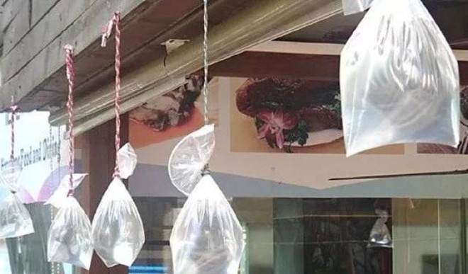 Một cách hiệu quả là hạn chế ruồi xâm nhập vào nhà bằng cách treo một túi đầy nước ở cửa sổ hoặc trước cửa nhà, những nơi có ánh sáng chiếu vào. 