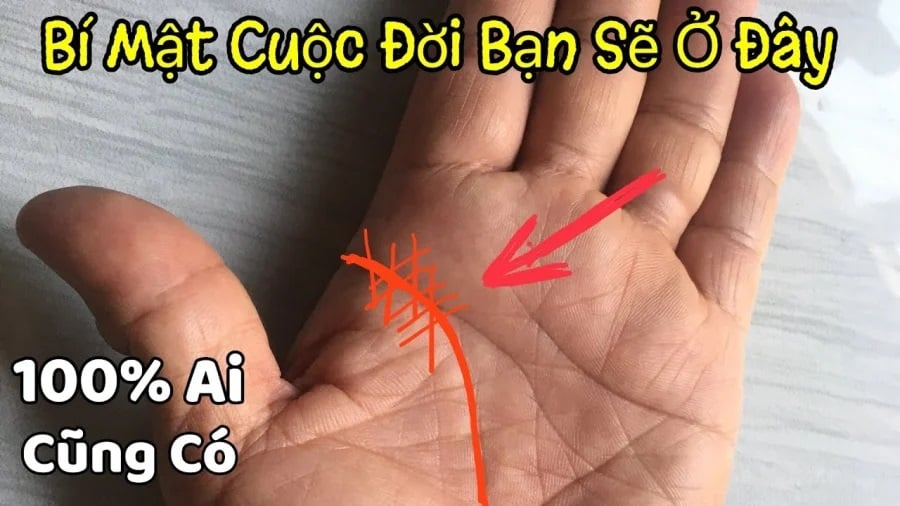 Trong trường hợp tay của một người có những đặc điểm như phúc lớn và mệnh dày, có thể có những điềm báo về Shbet16 chơi game trực tuyến và thành công trong tương lai.