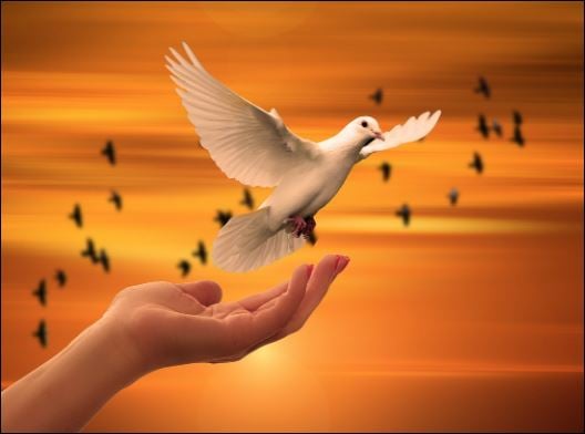 Không phải họ không cố gắng để làm giàu, mà họ cố mãi cũng chẳng thể giàu được.  (ảnh minh họa)