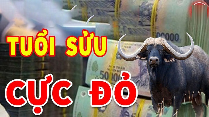 Trong công việc, Shbet888.com nhà cái uy tín này gặp nhiều may mắn, được giao nhiều trọng trách giúp bản mệnh có cơ hội tăng lương, tăng thưởng, thăng chức. 