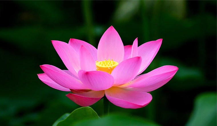 Người đồng cam cộng khổ    