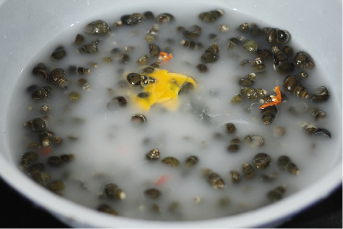 Dùng nước vo gạo ngâm ốc.