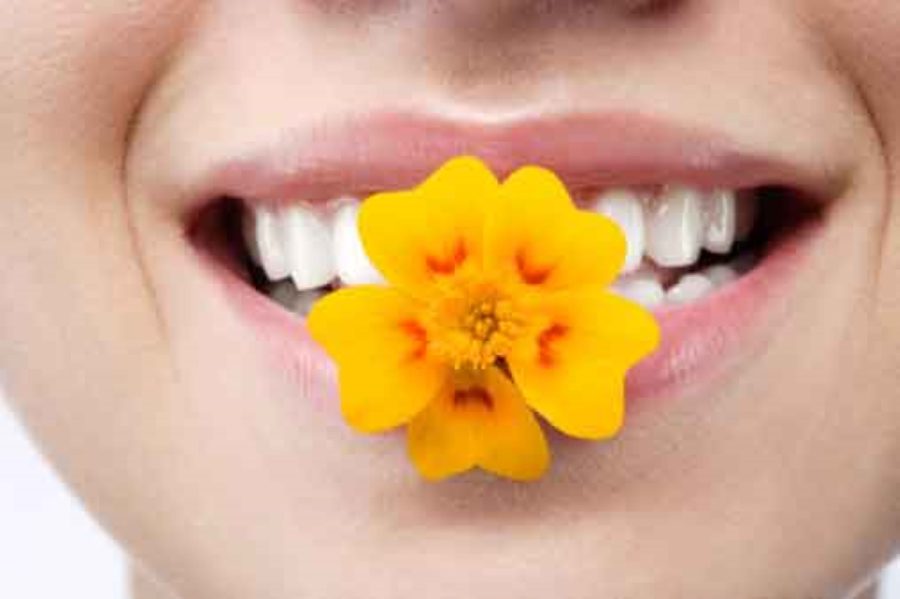 Miệng là để nói những lời hay ý đẹp chứ không phải để nói những lời tổn thương người khác. (Ảnh minh họa)