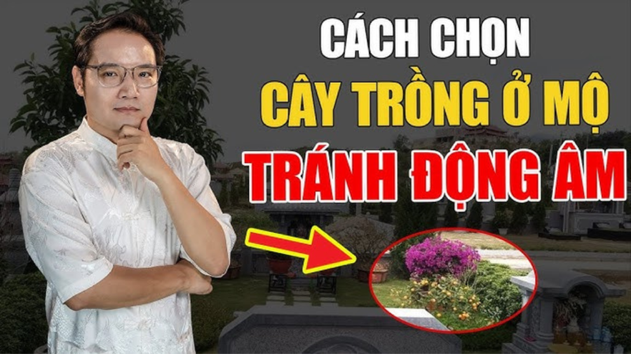 Lưu ý khi chọn cây trồng trên mộ