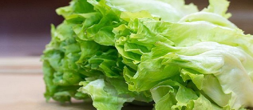 Vì là loại rau ít calo nên xà lách phù hợp với người đang giảm cân. 