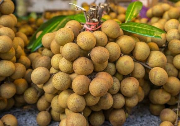 Để quả nhãn giữ được lâu, thường người ta sẽ sử dụng lưu huỳnh để giữ cho đầu quả không bị hỏng và vỏ quả bóng đẹp. 