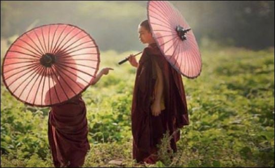 Chỉ khi trải qua những đau khổ thì chúng ta mới có thể trở thành những người giỏi ở đời. (ảnh minh họa)