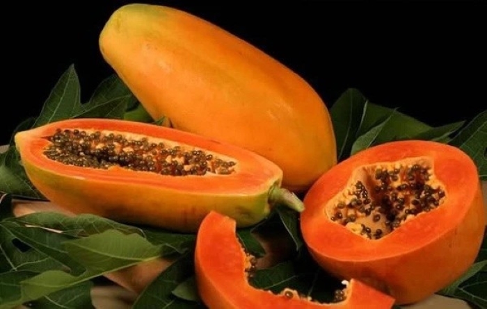 Đu đủ biểu tượng của sự đủ đầy và ấm no.