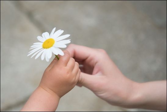 Nền tảng của tình yêu vợ chồng, đó chính là sự yêu thương và tôn trọng nhau. (ảnh minh họa)
