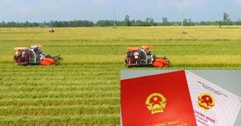 Bị thu hồi đất nông nghiệp, nông dân được bồi thường theo quy định