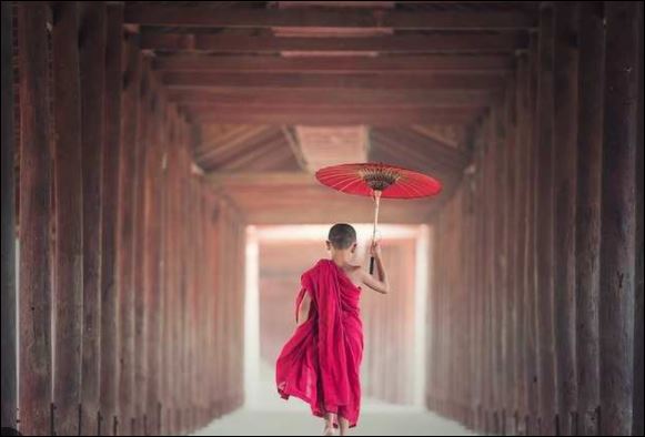 Người xưa có câu: Người chịu thiệt sẽ là người có phúc.  (ảnh minh họa)