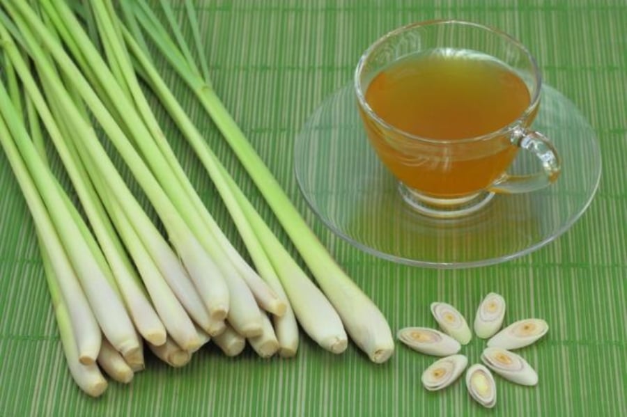 Uống nước có sả rất có lợi cho việc điều trị nhiều loại bệnh.