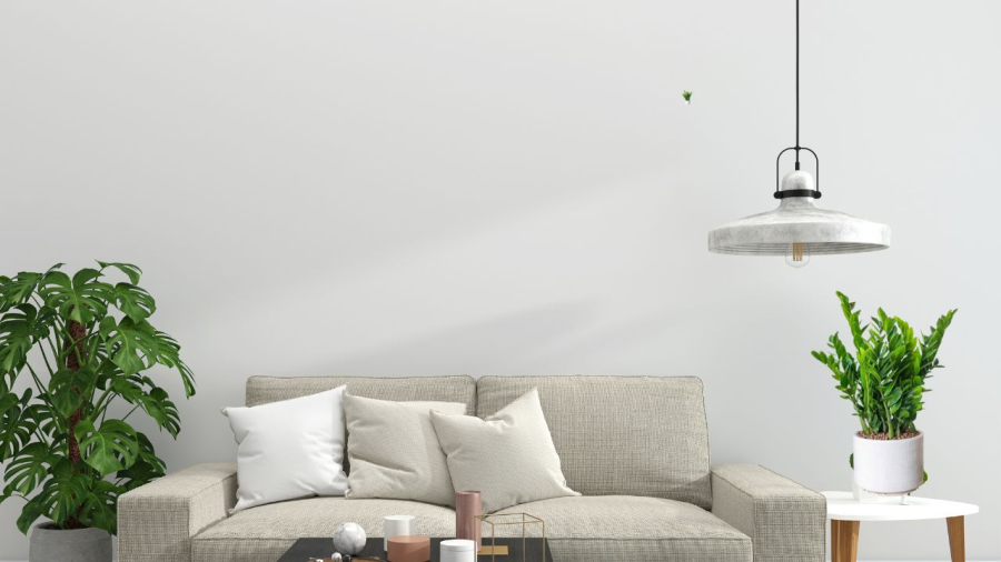 Phòng khách có cây xanh gia đình hòa thuận