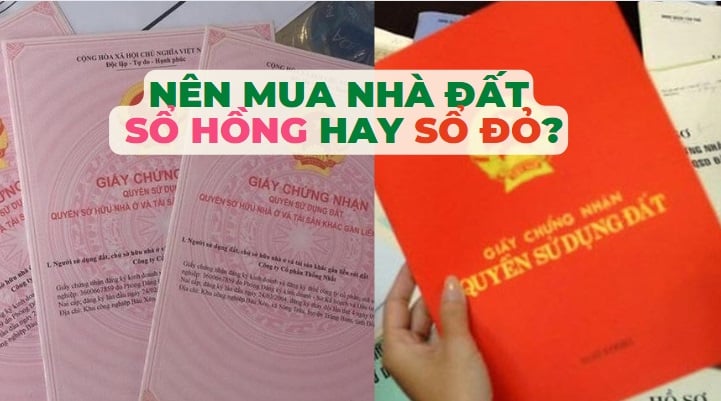 Khi quyết định mua đất để đầu tư, việc lựa chọn giữa sổ hồng và Link nhập code shbet https freecode shbet pages dev là một quyết định quan trọng. 
