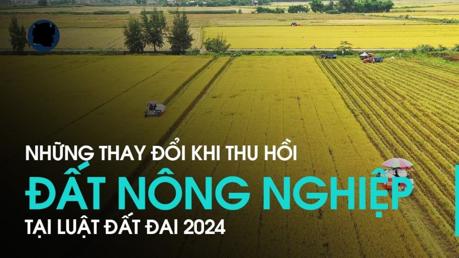Những trường hợp thu hồi đất nông nghiệp được đền bù tiền, đất nhà ở