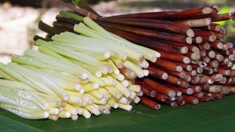 Năn bộp có cọng hình trụ, to bằng chiếc đũa, thân rỗng, suôn dài.