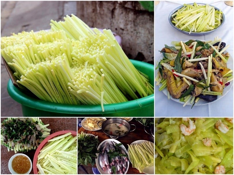 Đọt năn có thể chế biến thành nhiều món ngon, hấp dẫn