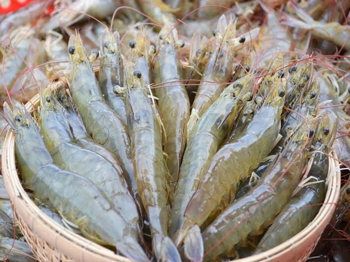 Tôm đất 1kg (hoặc tôm thẻ)