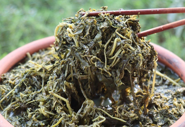Lá sắn hiện còn được xuất khẩu ra nhiều quốc gia trên thế giới