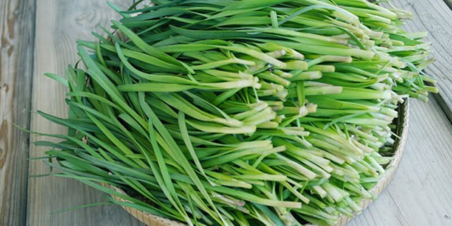 Lá hẹ trị ho, viêm họng