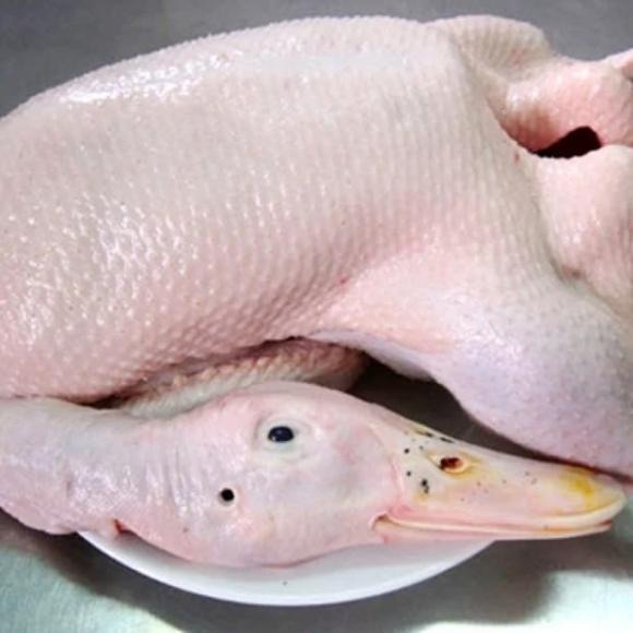 Chìa khóa để nhổ lông vịt một cách nhanh chóng chính là việc lựa chọn vịt.